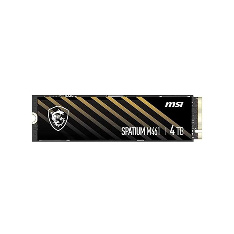 اس اس دی ام اس آی مدل MSI SPATIUM M461 4TB M.2