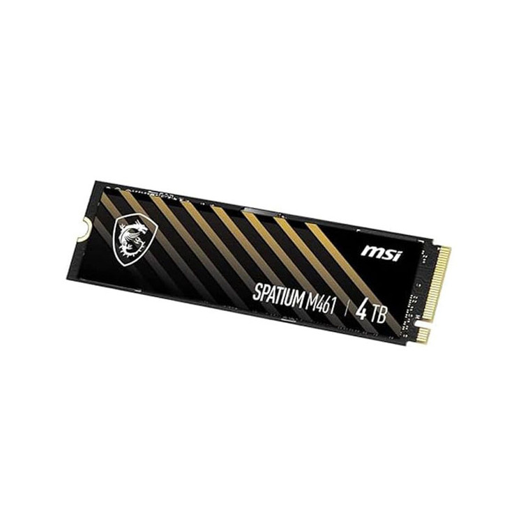 اس اس دی ام اس آی مدل MSI SPATIUM M461 4TB M.2
