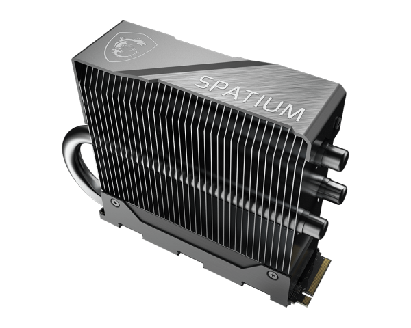 اس اس دی اینترنال ام اس آی مدل MSI Spatium M570 FROZR 2TB