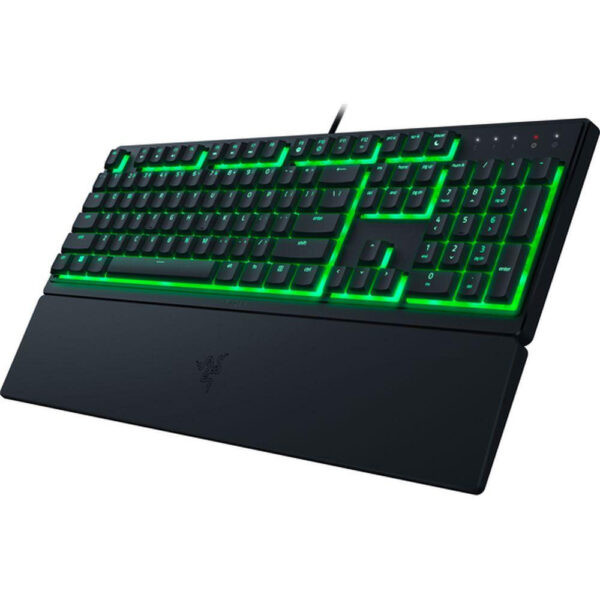کیبورد گیمینگ ریزر مدل Razer ORNATA V3 X