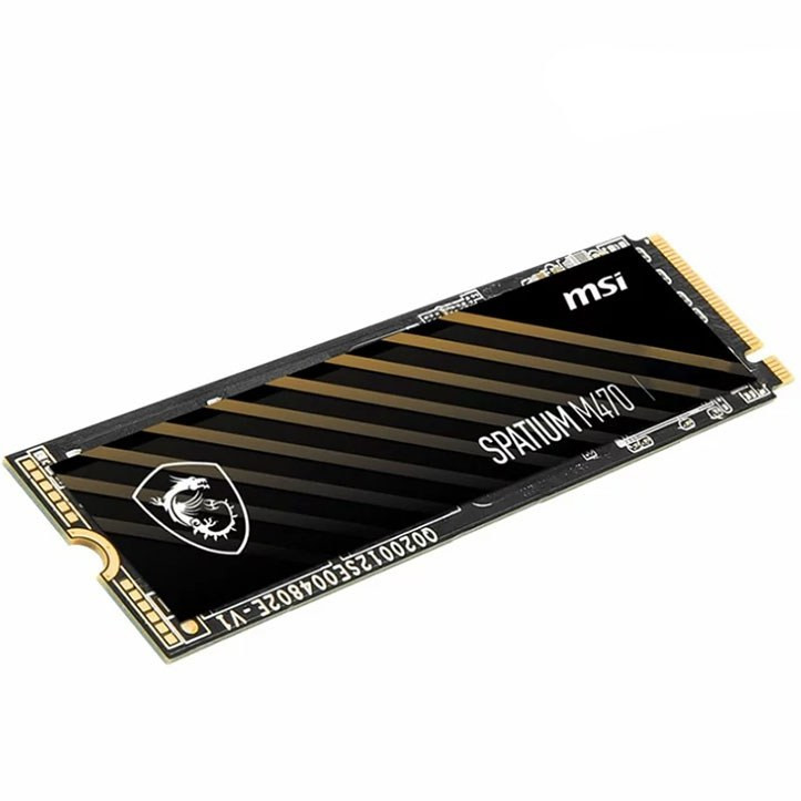 اس اس دی ام اس ای مدل MSI M470 2TB M.2