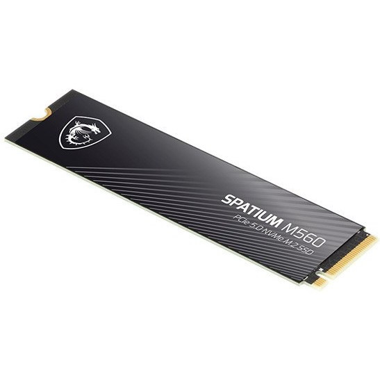 اس اس دی ام اس ای مدل MSI Spatium M560 1TB M.2
