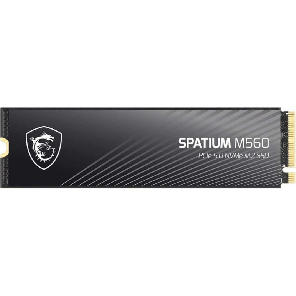 اس اس دی ام اس ای مدل MSI Spatium M560 1TB M.2