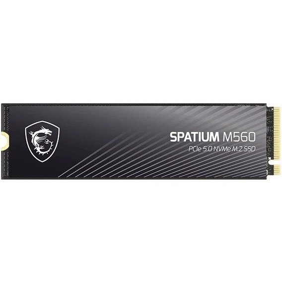 اس اس دی ام اس ای مدل MSI Spatium M560 2TB M.2