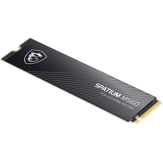 اس اس دی ام اس ای مدل MSI Spatium M560 2TB M.2