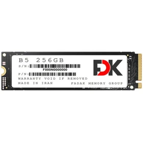 اس اس دی اینترنال فدک مدلFDK B5 M.2 2280 NVMe 256GB