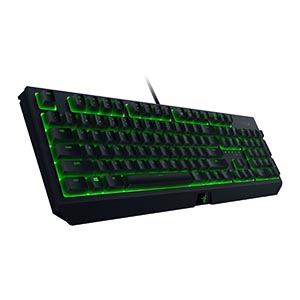 کیبورد ریزر مدل Razer Blackwidow Essential