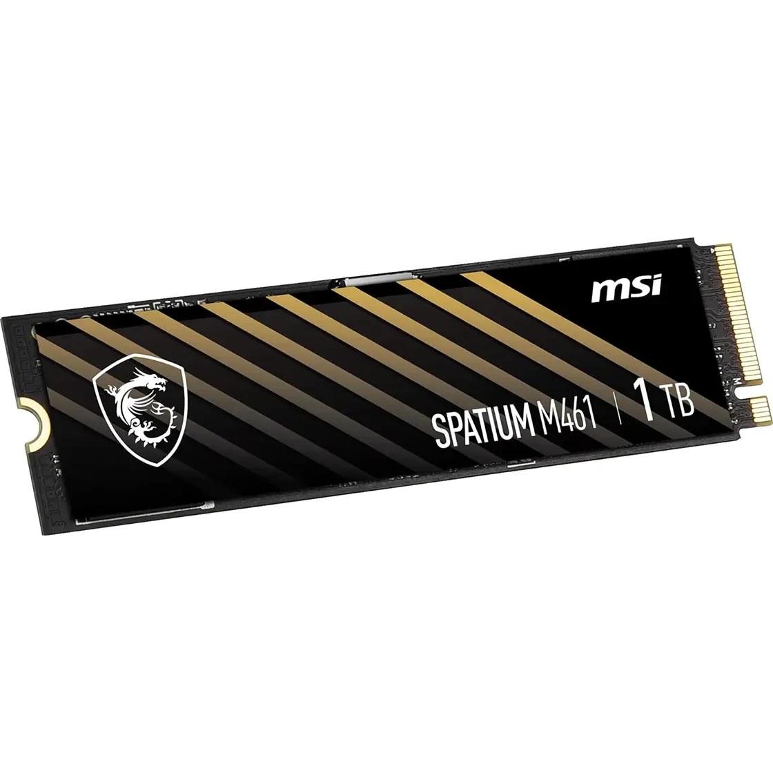 اس اس دی ام اس آی مدل SPATIUM M461 NVMe M.2 1TB